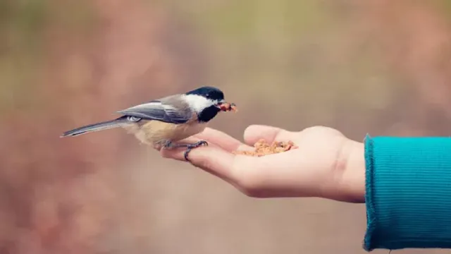 यूं दुनिया से विदा हो गया बेसहारा पशु-पक्षियों का पालनहार, जनपद में शोक की लहर... लोग बोले-अपूर्णीय क्षति
